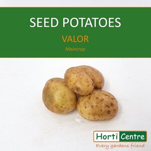 Valor Scottish Seed Potatoes 20Kg