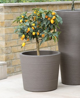 Varese Low Planter Alpine Grey 40cm