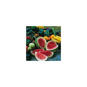 Water Melon Sugar Baby Kings Seeds