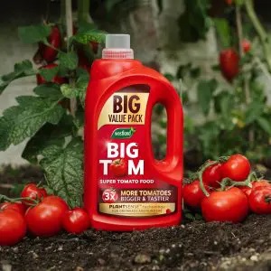 Westland Big Tom Super Tomato Food 2L