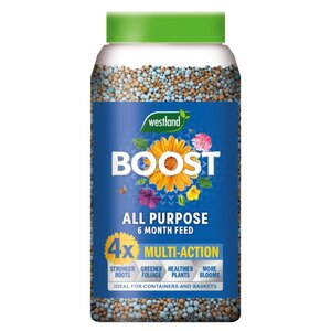 Westland Boost Slow Release Granules 750g