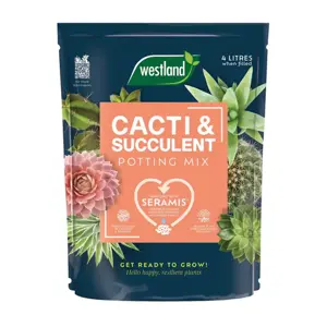 Westland Cacti & Succulent Potting Mix 4 Ltr