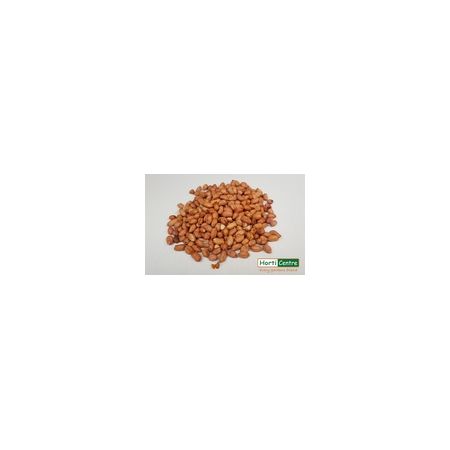 Wild Bird Peanuts 12.75Kg (Zero Rated Vat)