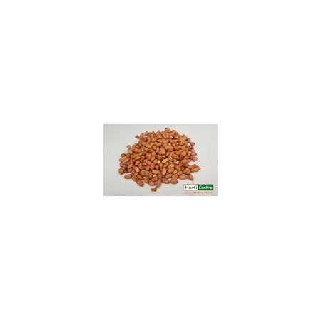 Wild Bird Peanuts 1Kg