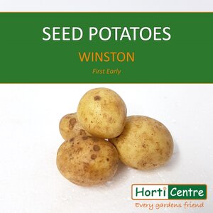 Winston Scottish Seed Potatoes 20Kg