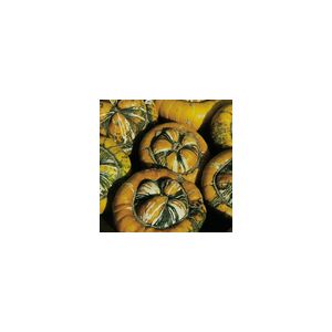 Winter Squash Turks Turban Kings Seeds