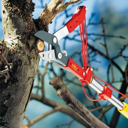 Wolf Multi-Change Anvil Tree Lopper Rcm - image 2