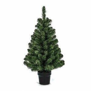 Woodcote Spruce in a Pot 90cm