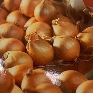 Yellow Moon Shallots 500g