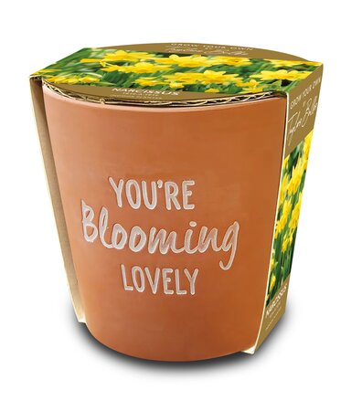 You're Blooming Lovely Gift Pot