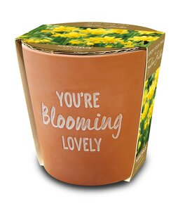 You're Blooming Lovely Gift Pot